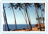 Goa Beach Travel Vacation