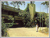 Hotel Bharatpur Ashok, Bharatpur Hotels